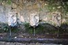 Fuente-de-los-salmones