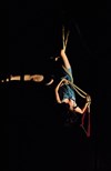 Trapecio-2