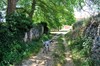 Camino-del-Cid-Sienes