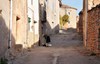 Mujer-con-gatos