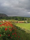 Granja-escuela