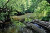 Charco-de-los-Alisos