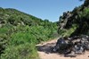 Camino
