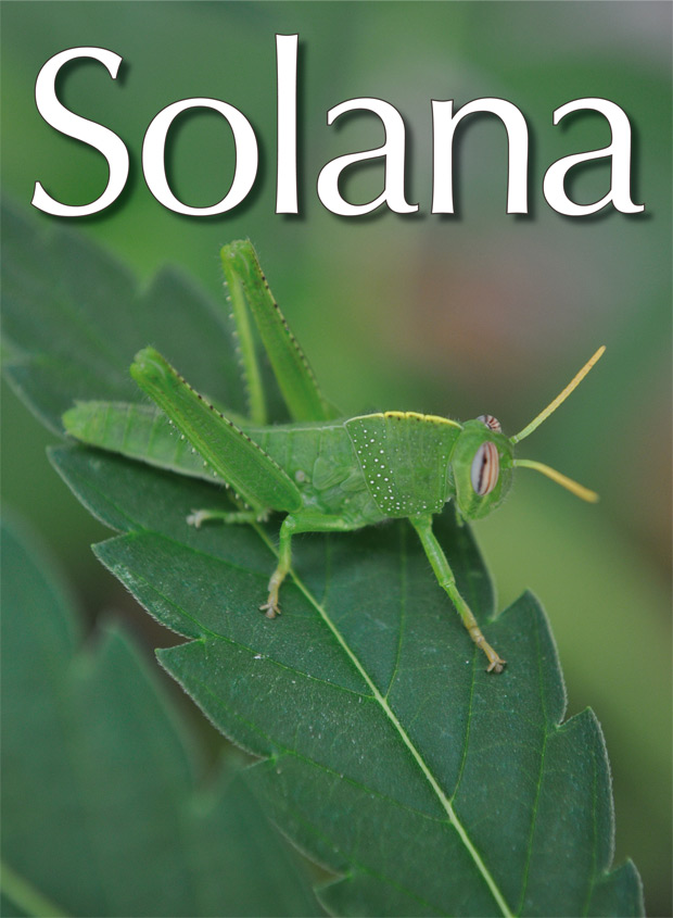 portada-71