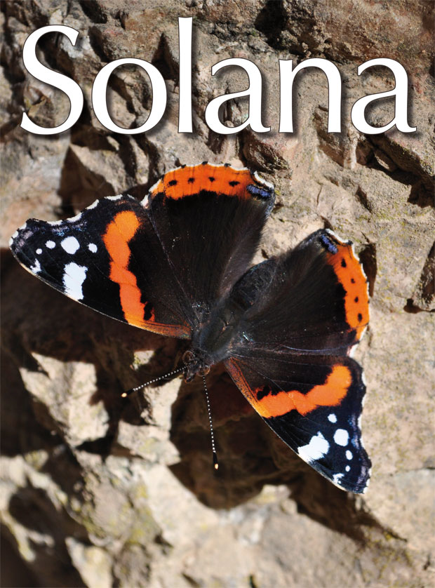 portada-76