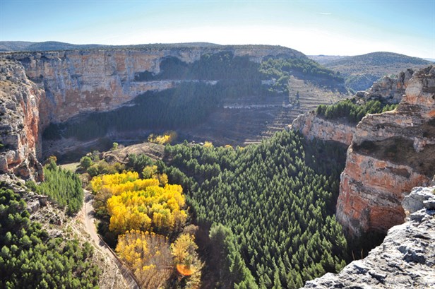 Vista-desde-arriba