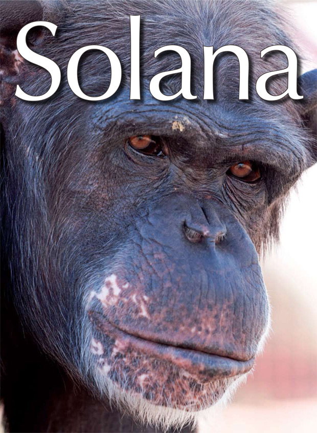 portada-83-ivan