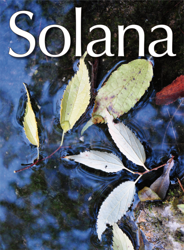 portada-85