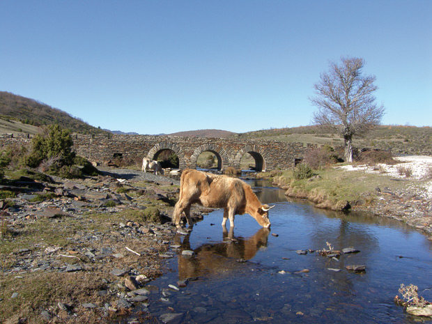 Puente-sobre-rio-Lillas