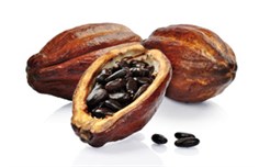 cacao