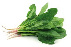 Espinacas