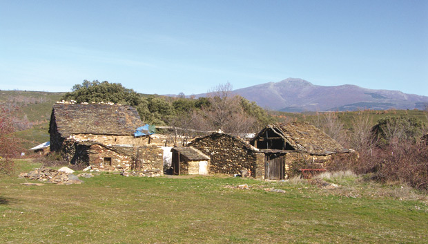Matallana