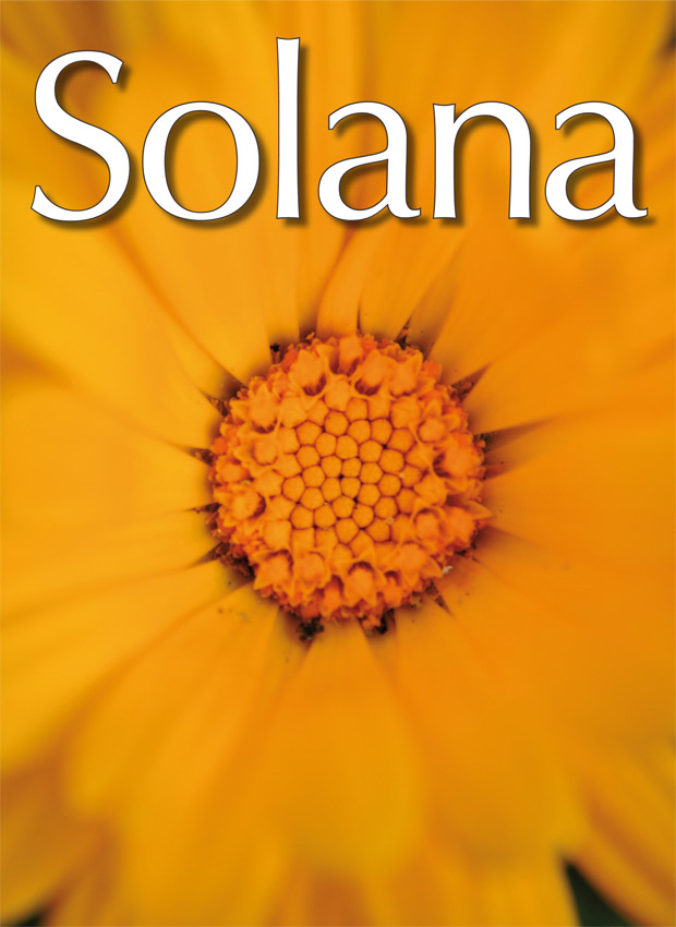 Portada 66