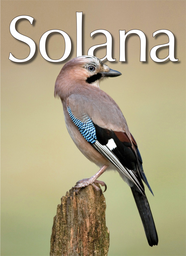 portada 67