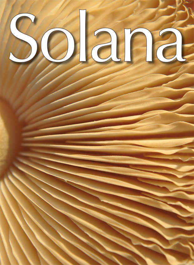 portada-62-SETA-web