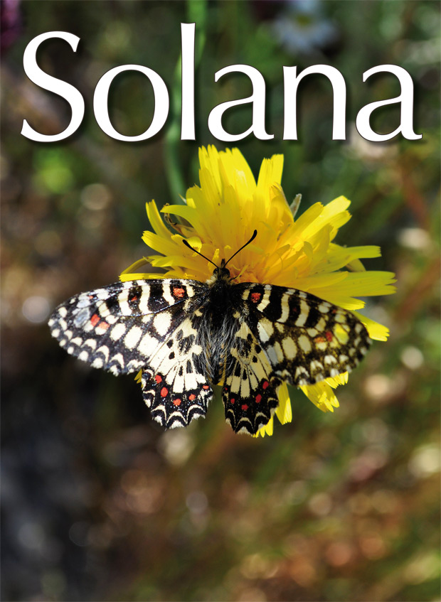 portada-69